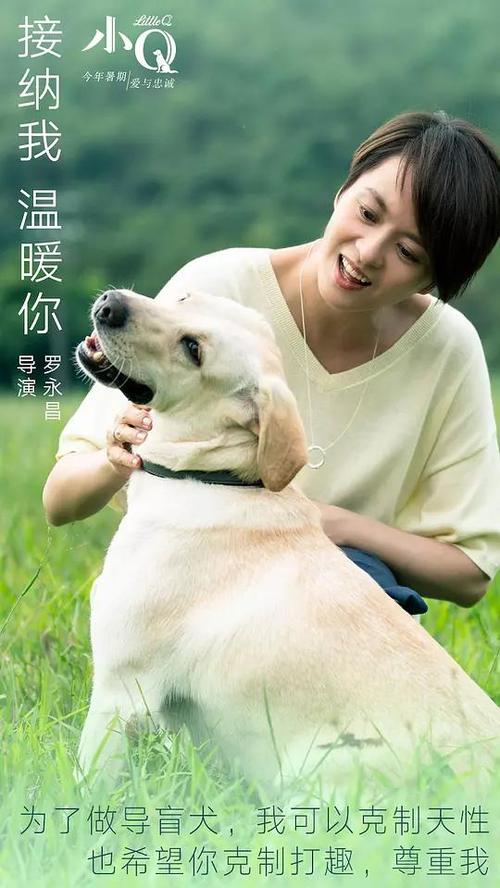 高仿技术学院毕业证
